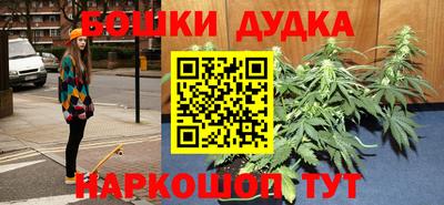 PSILOCYBIN Будённовск